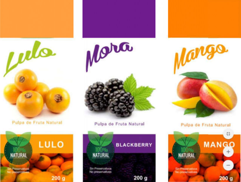 Pulpa de fruta - Presentaciones